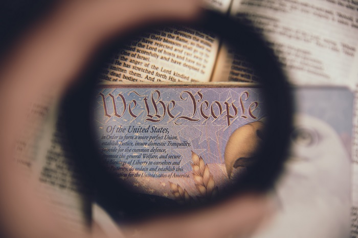 Constitution under a magnifying glass